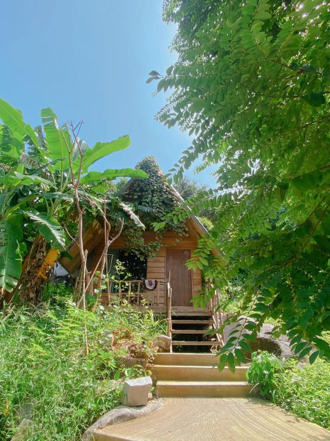Homestay Coffee Sunset Hon Son Lai Son Εξωτερικό φωτογραφία